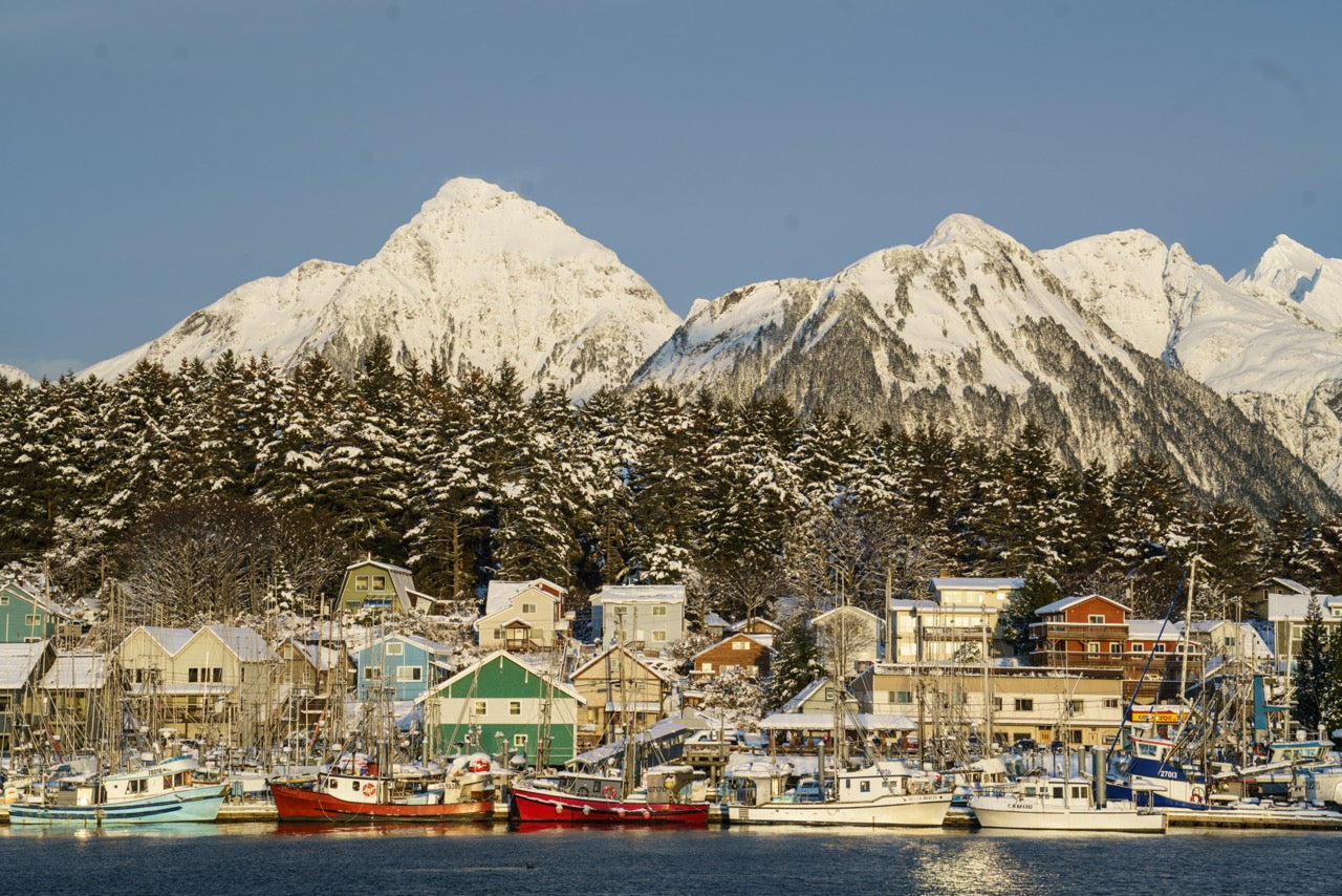 The Benefits of Incorporating More Seafood in Your Winter Diet (and How to Enjoy It)