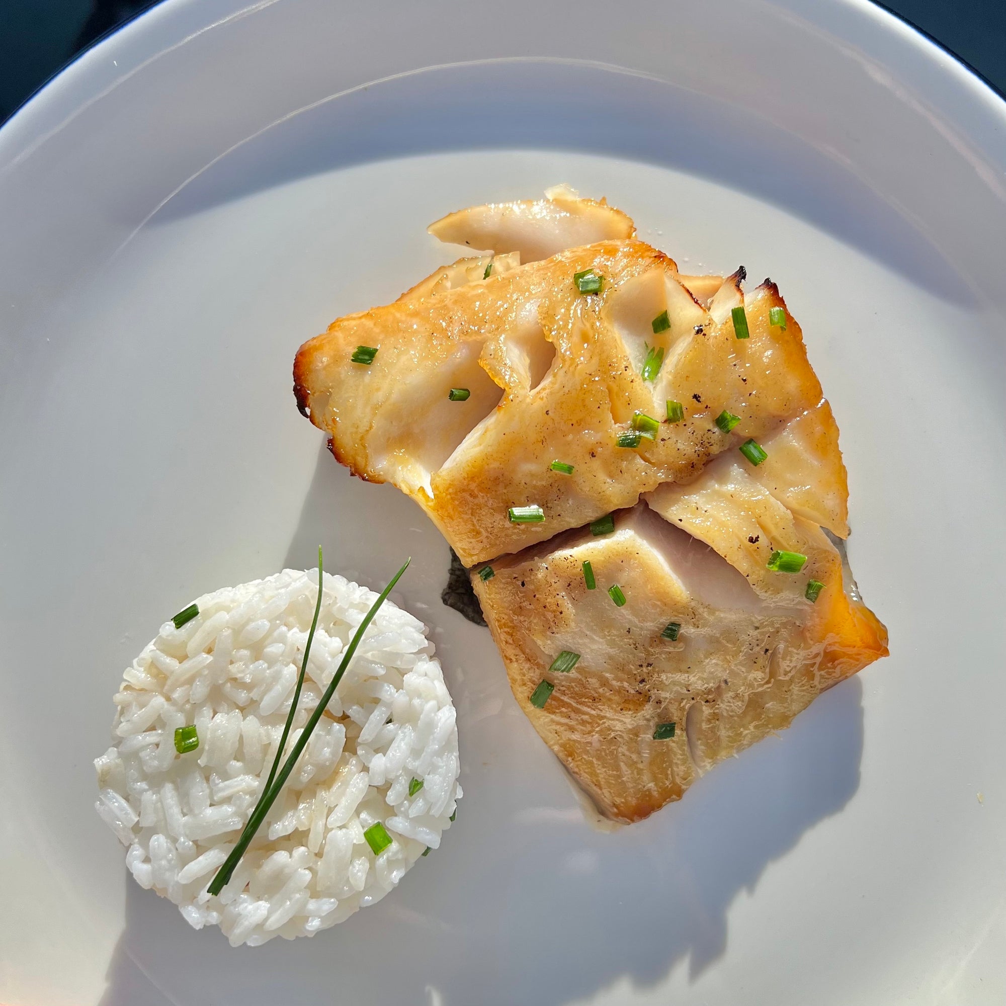 Miso marinated sablefish black cod from Premier Catch served on a plate with coconut rice