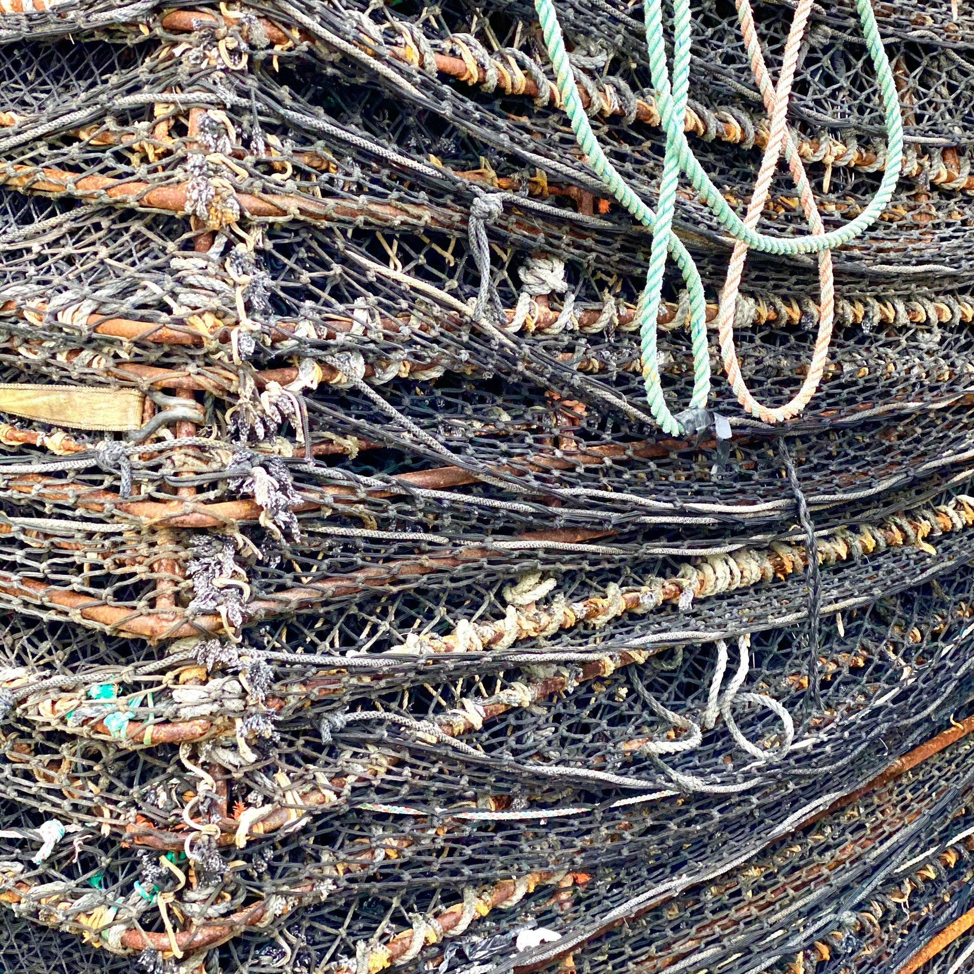 black cod pots for fishing in alaska