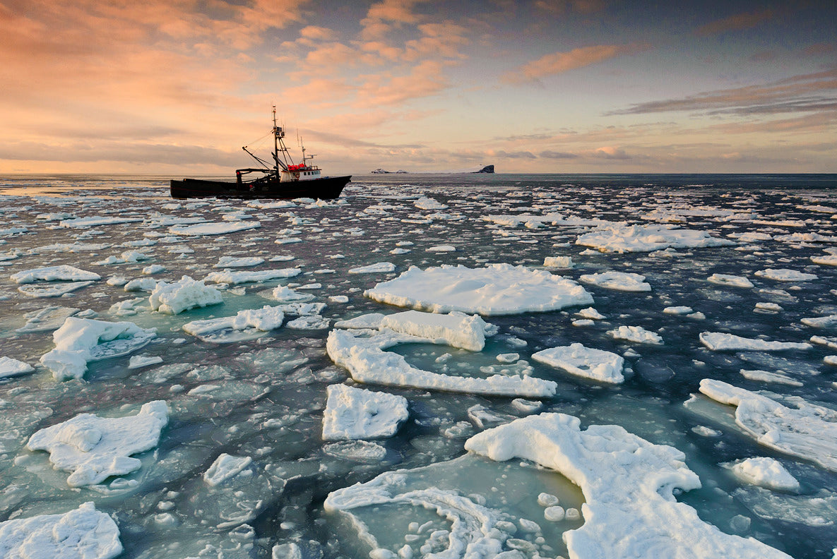 Why Earth Month Matters to Seafood Lovers