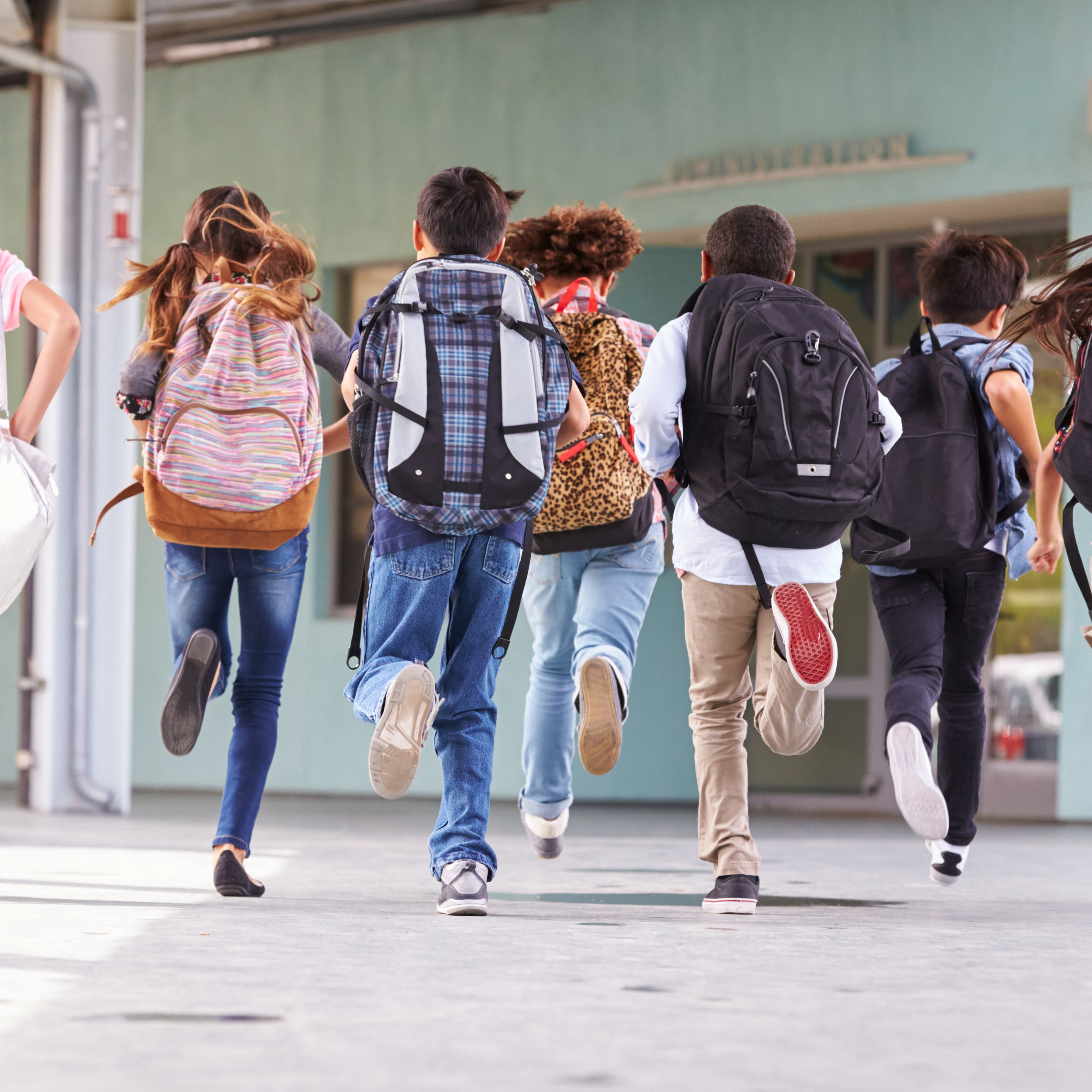 How Seafood Can Contribute to a Student's Energy and Stamina