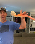 Alaskan Red King Crab Legs