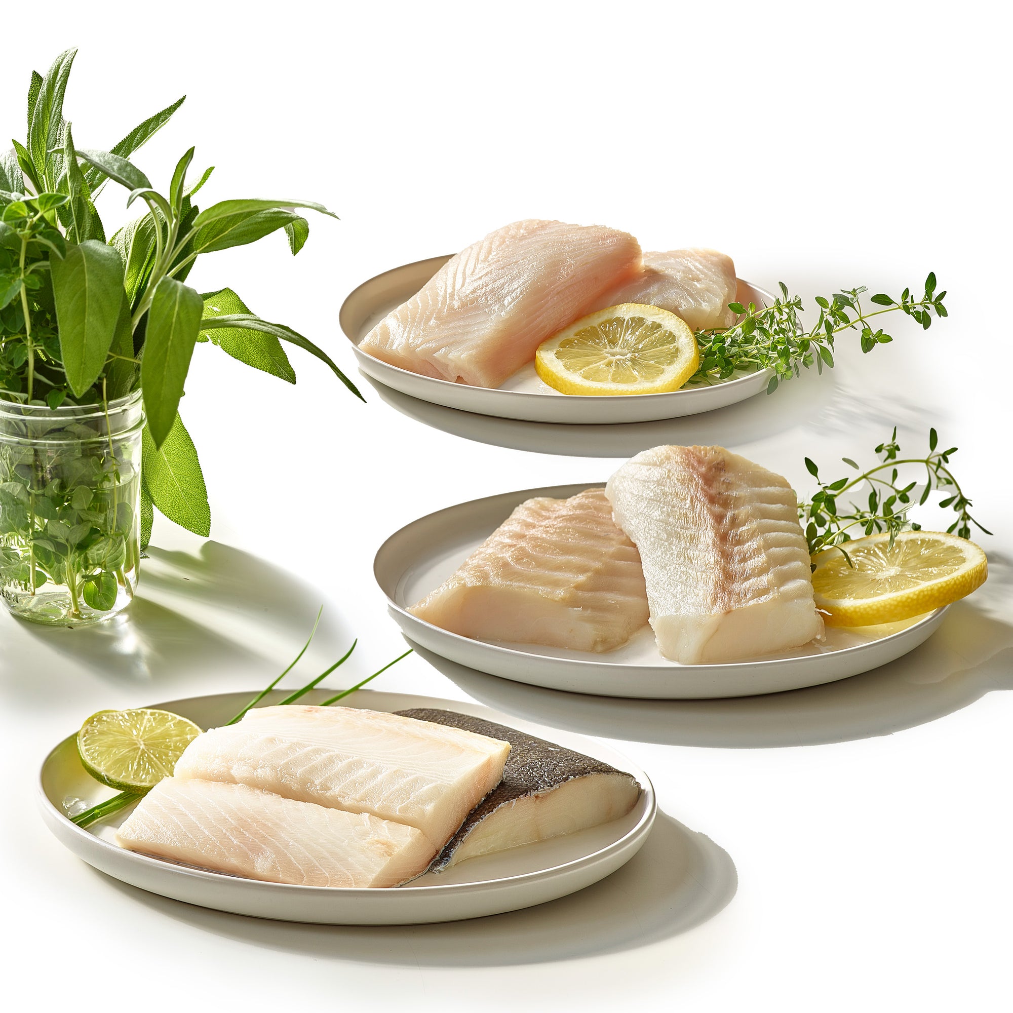 Wild Whitefish Bundle