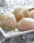 Alaska weathervane scallops on a white plate with ice cubes on a gray surface