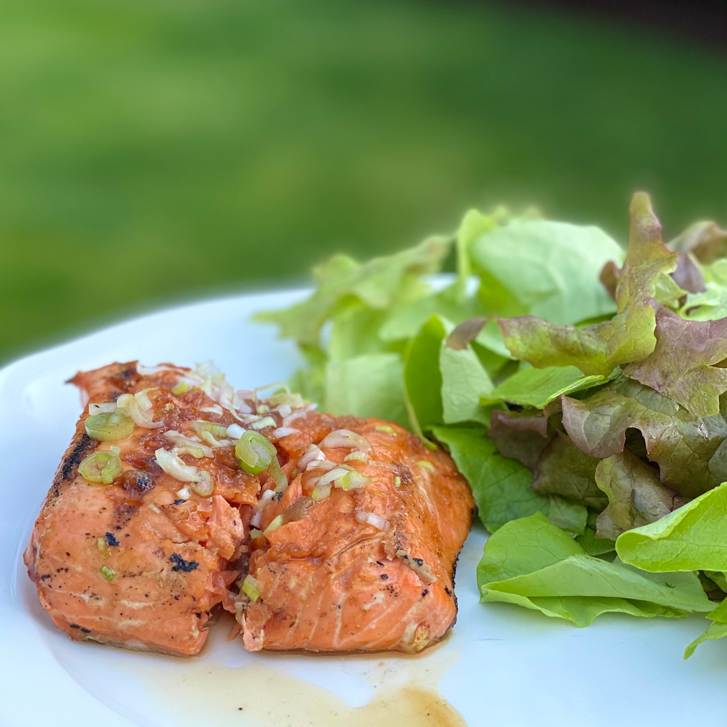 10 Grilled Seafood Recipes Perfect for Summer Gatherings