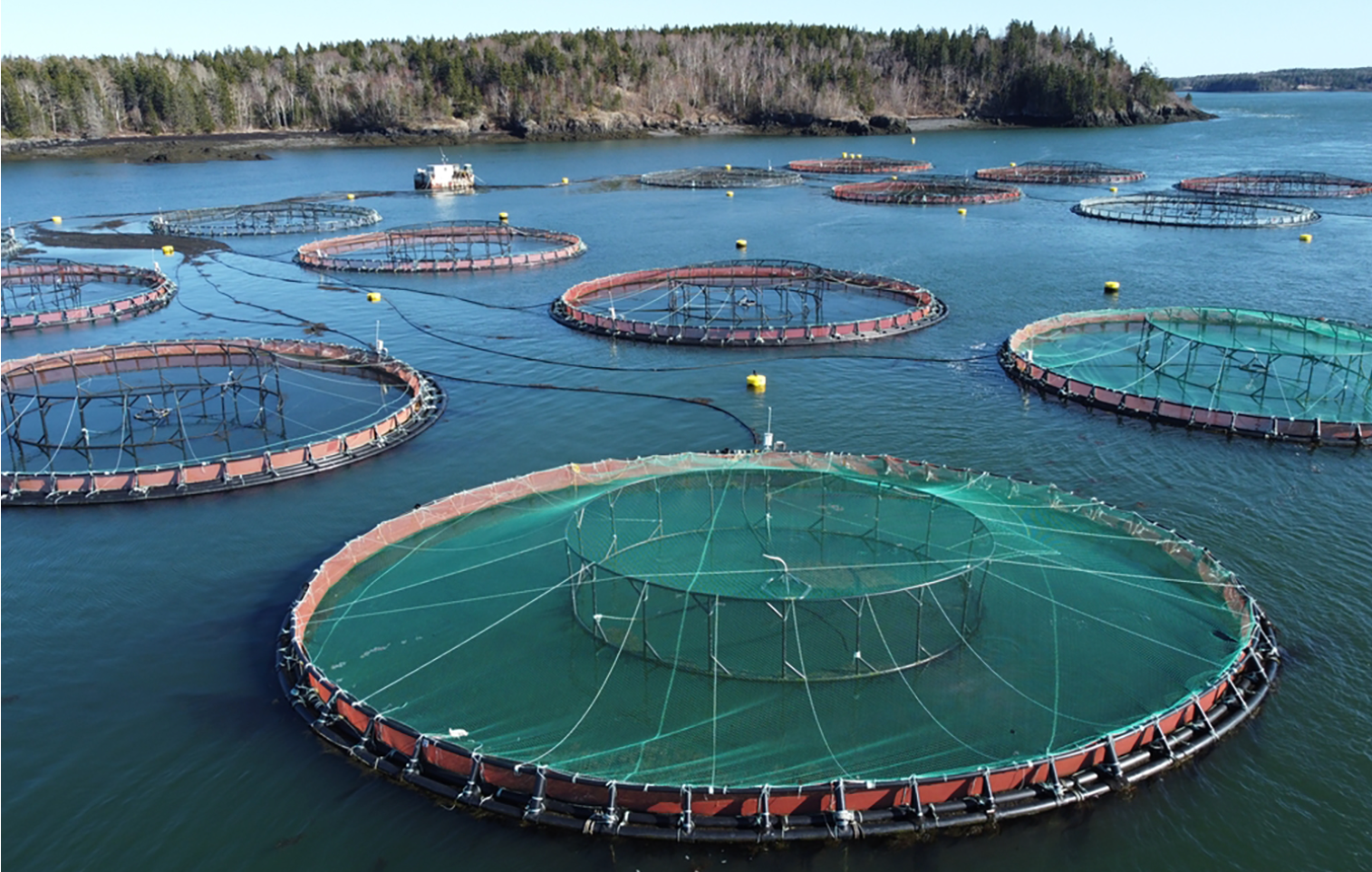 aquaculture fish farm pens