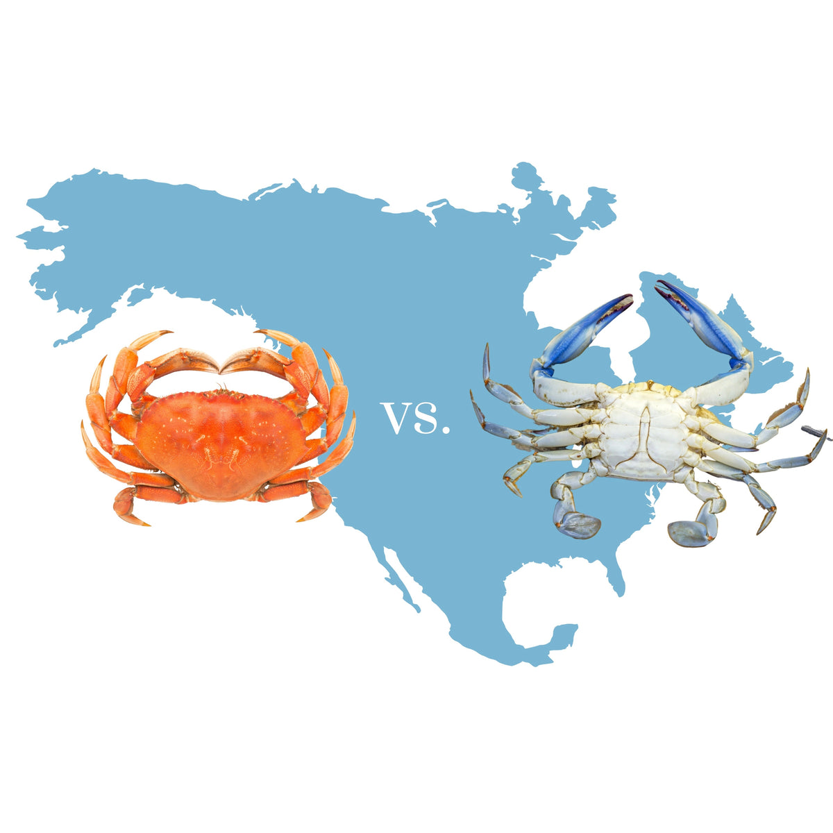 Coast to Coast Crab Battle Dungeness Crab vs. Blue Crab Premier Catch