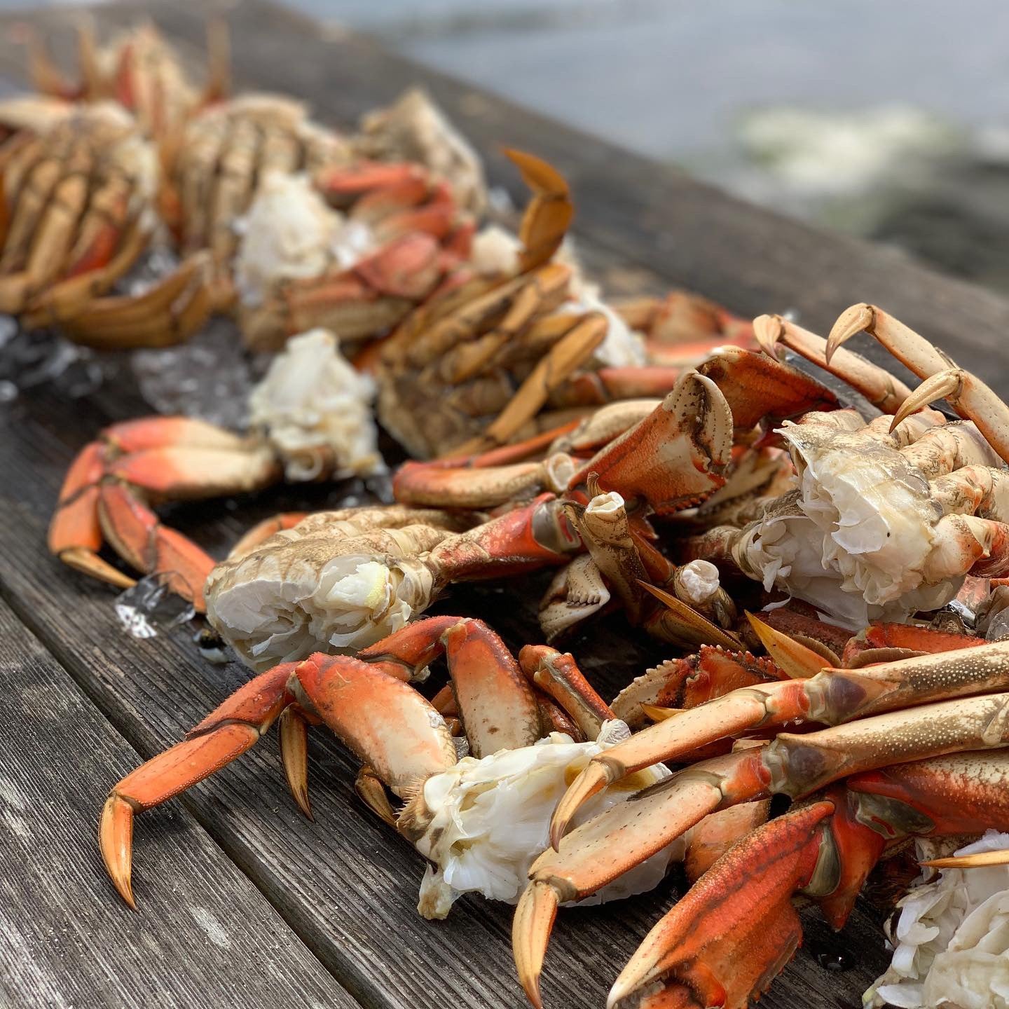 8 Creative Crab Recipes for Spring