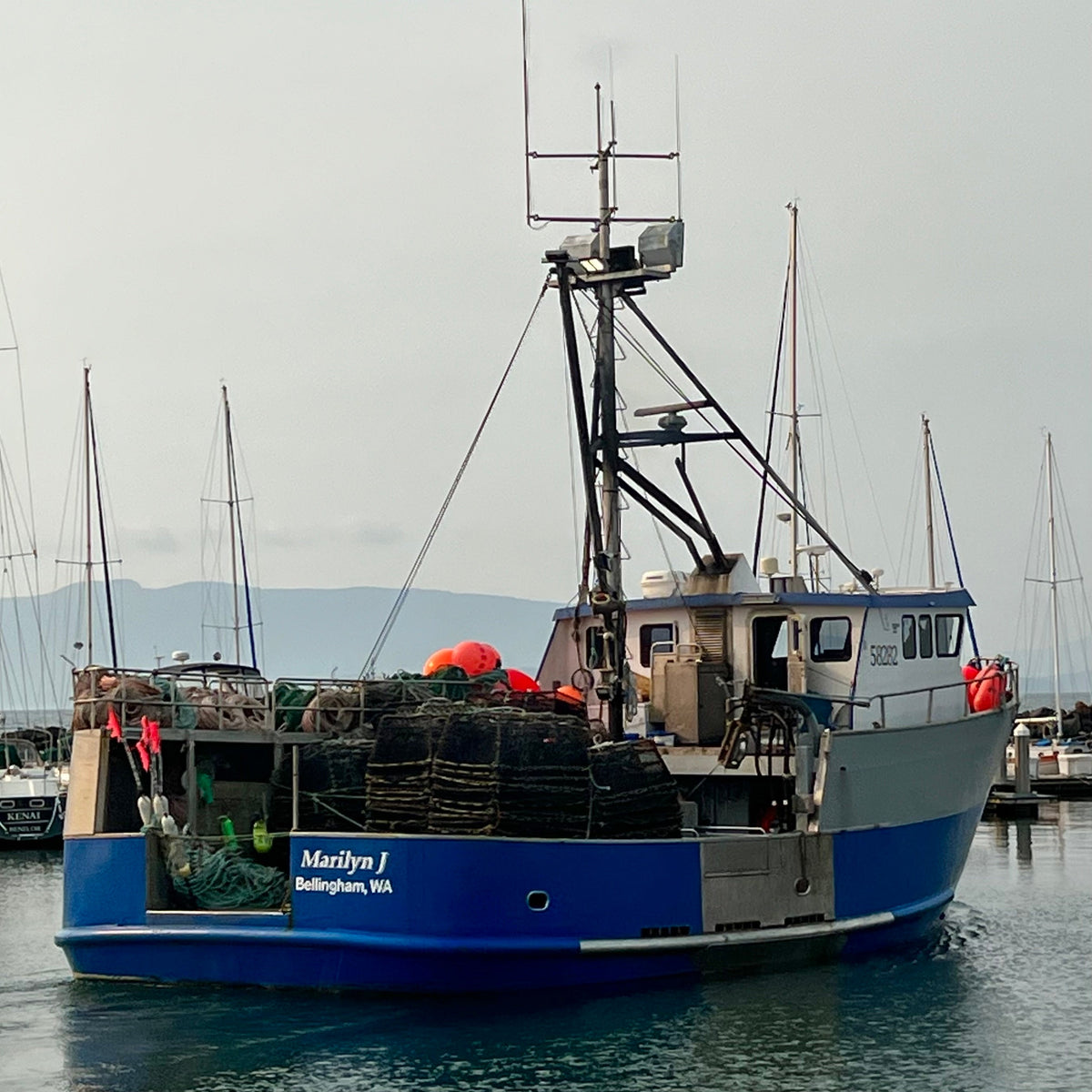fishing boat with black cod pots on deck