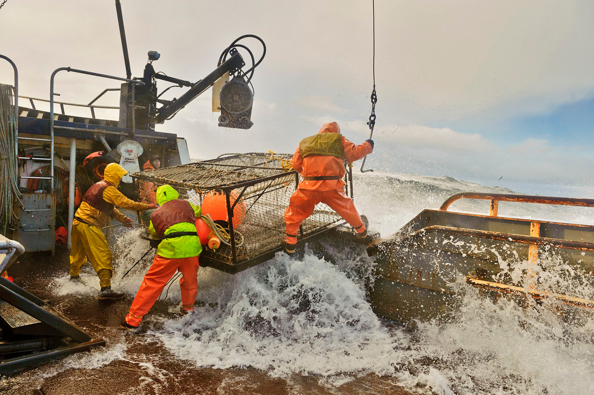 fishermen pulling pot overboard at sea