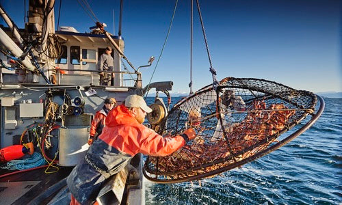 2022-2023 Alaskan Red King Crab Season Closed