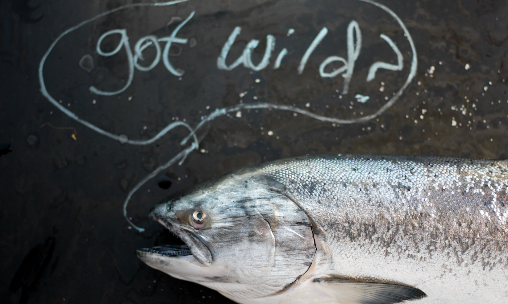 Why Eat Wild Seafood?