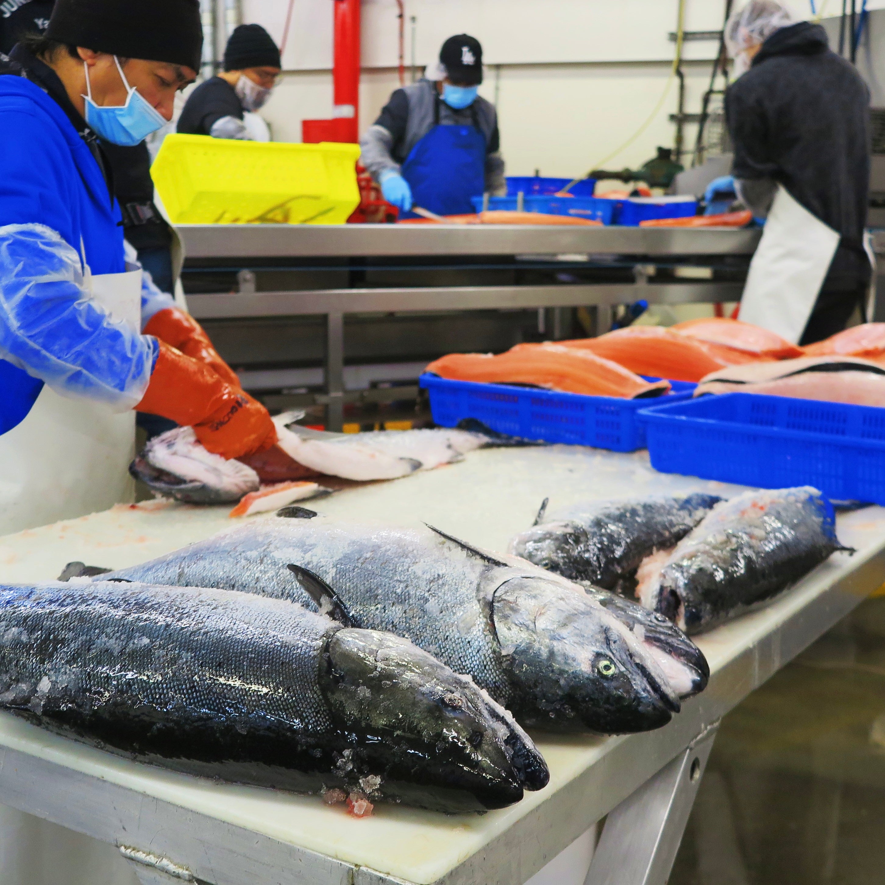 Why You Should Opt for Sustainable Seafood: A Deep Dive into Responsible Seafood