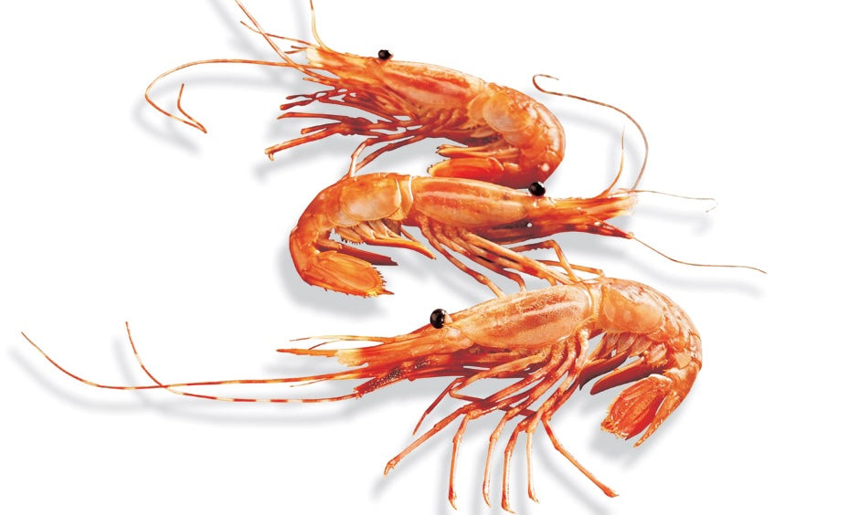 Can You Guess the 3 Most Popular Seafoods in the U.S.?