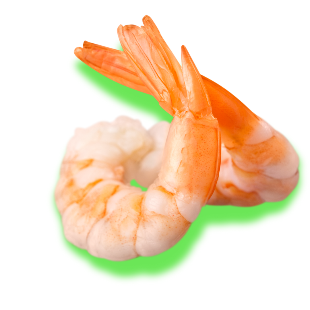 radioactive shrimp