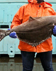 Wild Pacific Halibut