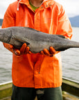 American seafood harvester holding a wild caught sablefish while standing on a boat at sea