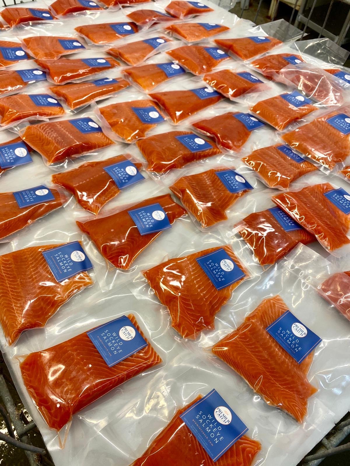Individually vacuum packed portions of wild sockeye salmon on a white freezing tray.